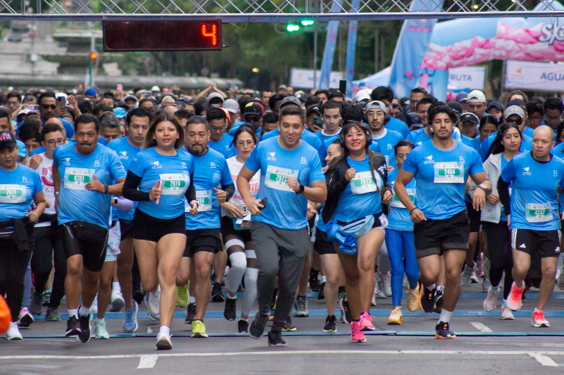 Carrera BAL